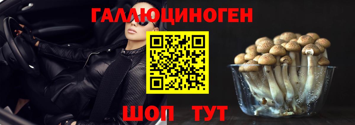 Псилоцибиновые грибы Psilocybe Магнитогорск